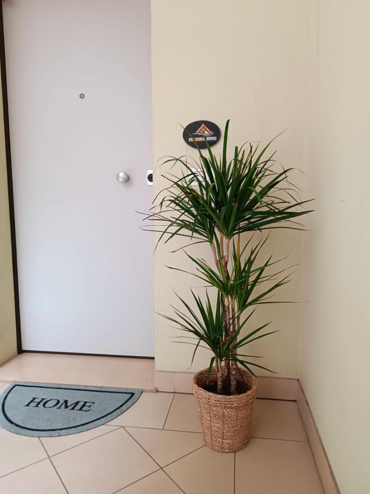 Ferienwohnung San Carlo House Castel Guelfo Di Bologna Exterior foto